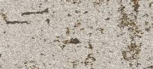 Moquette Zoom HD - CTB 320